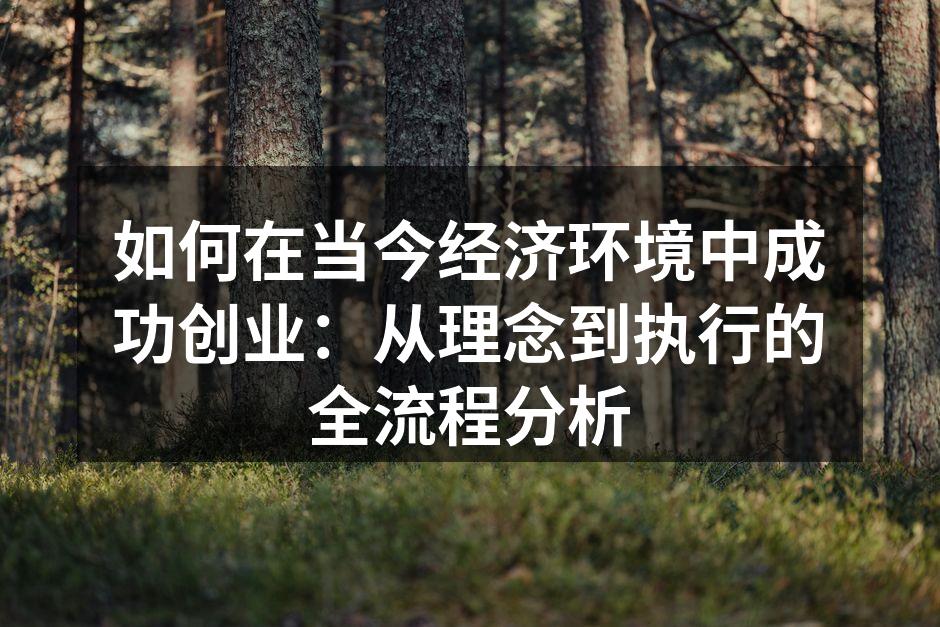 如何在当今经济环境中成功创业：从理念到执行的全流程分析